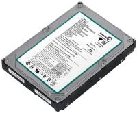 ST3160022ACE