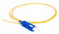 AC-FIB-PIGT-LC-UPC
