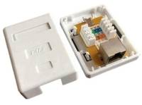 NET-CAT6WALL-LQ