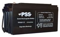 PSS65