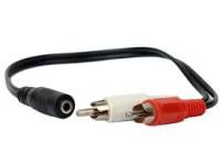 RCA001