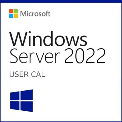 DSP-5CALU22 Microsoft Windows Server 2022 CAL DSP - 5 User