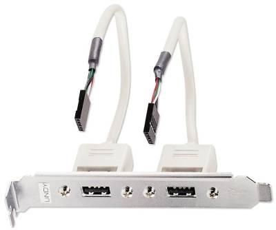 CAB-USB-PANELMOUNT-L Lindy 2 Port USB PC backplate - 2x USB Type-A Female